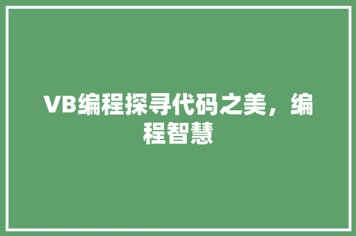 VB编程探寻代码之美，编程智慧