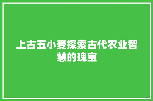 上古五小麦探索古代农业智慧的瑰宝