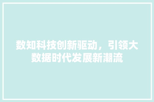 数知科技创新驱动，引领大数据时代发展新潮流