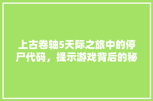 上古卷轴5天际之旅中的停尸代码，提示游戏背后的秘密