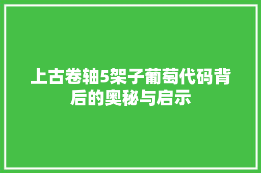 上古卷轴5架子葡萄代码背后的奥秘与启示
