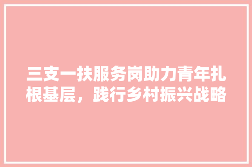 三支一扶服务岗助力青年扎根基层，践行乡村振兴战略