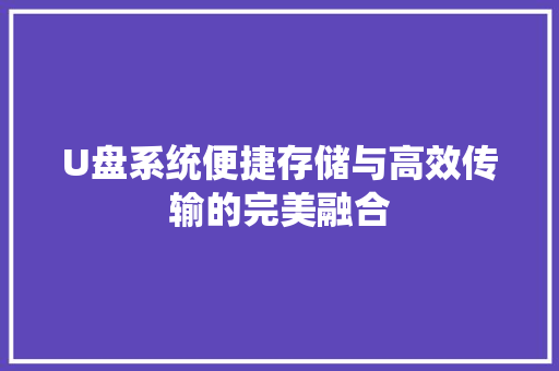 U盘系统便捷存储与高效传输的完美融合  第1张