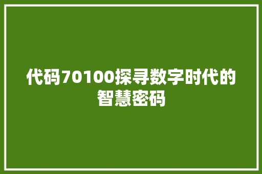 代码70100探寻数字时代的智慧密码