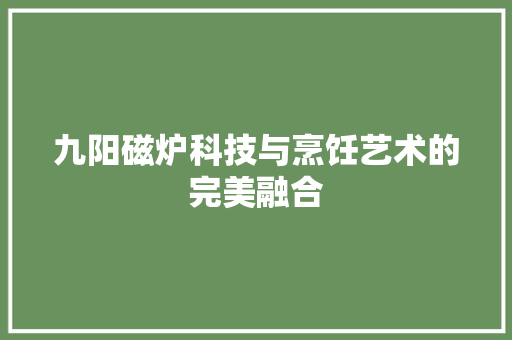 九阳磁炉科技与烹饪艺术的完美融合