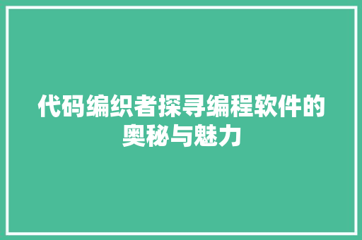 代码编织者探寻编程软件的奥秘与魅力