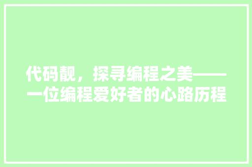 代码靓，探寻编程之美——一位编程爱好者的心路历程
