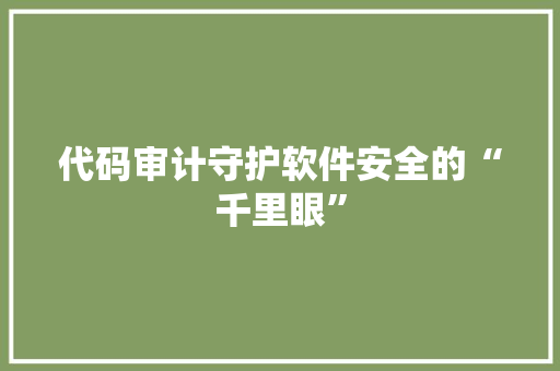 代码审计守护软件安全的“千里眼”