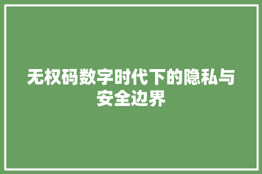 无权码数字时代下的隐私与安全边界