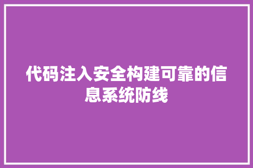 代码注入安全构建可靠的信息系统防线