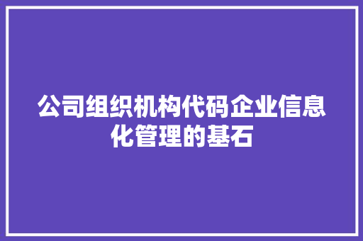 公司组织机构代码企业信息化管理的基石  第1张