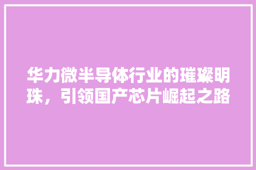 华力微半导体行业的璀璨明珠，引领国产芯片崛起之路