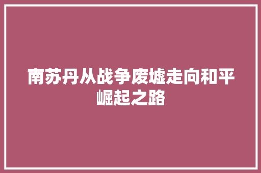 南苏丹从战争废墟走向和平崛起之路  第1张