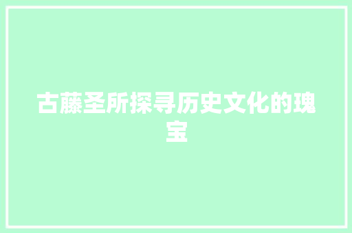 古藤圣所探寻历史文化的瑰宝  第1张