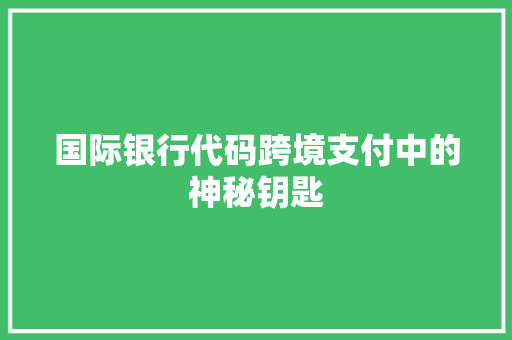 国际银行代码跨境支付中的神秘钥匙