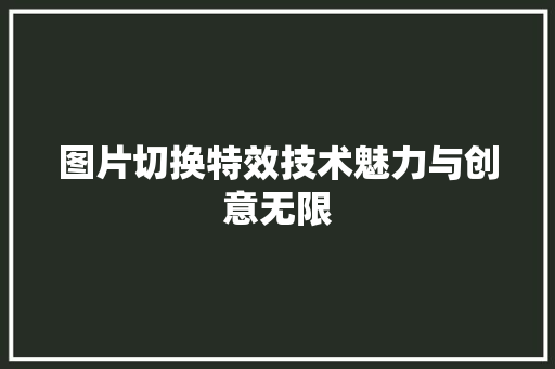 图片切换特效技术魅力与创意无限