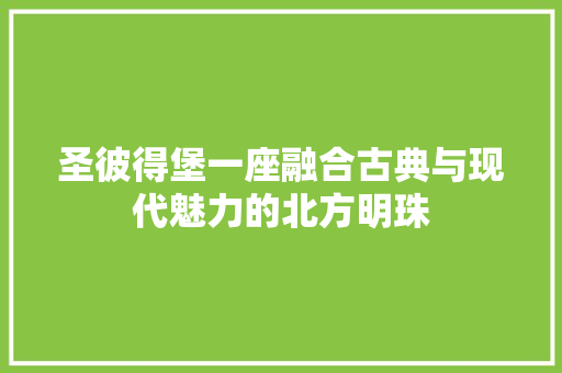 圣彼得堡一座融合古典与现代魅力的北方明珠