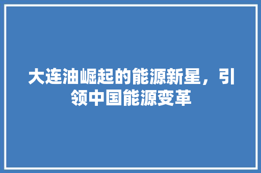 大连油崛起的能源新星，引领中国能源变革