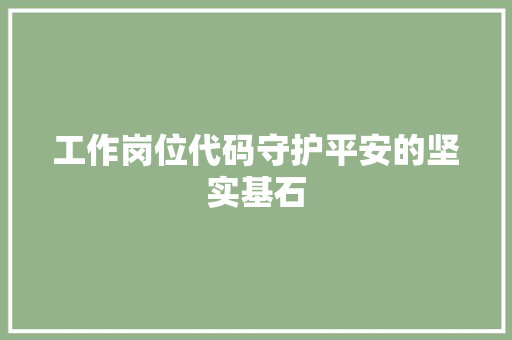 工作岗位代码守护平安的坚实基石  第1张