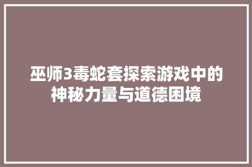 巫师3毒蛇套探索游戏中的神秘力量与道德困境