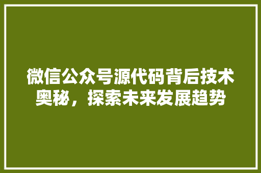 微信公众号源代码背后技术奥秘，探索未来发展趋势