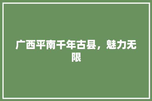 广西平南千年古县，魅力无限