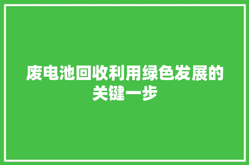 废电池回收利用绿色发展的关键一步