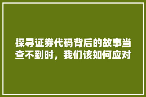 探寻证券代码背后的故事当查不到时，我们该如何应对