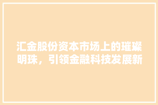 汇金股份资本市场上的璀璨明珠，引领金融科技发展新篇章