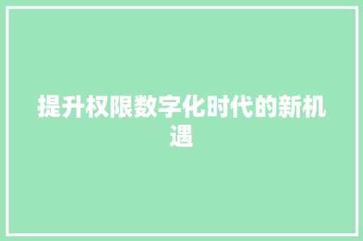提升权限数字化时代的新机遇