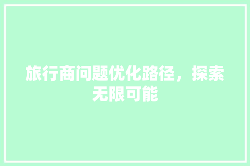 旅行商问题优化路径，探索无限可能