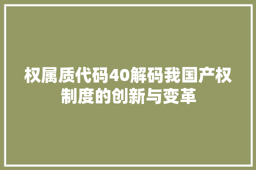 权属质代码40解码我国产权制度的创新与变革