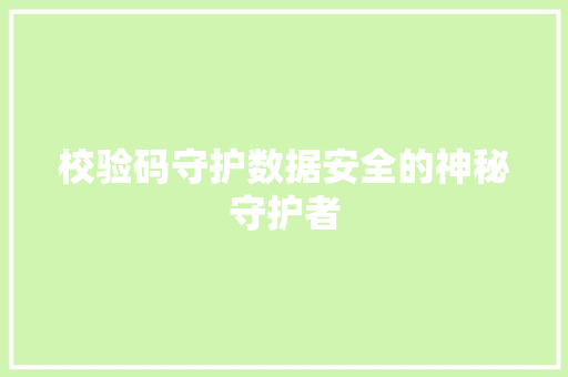 校验码守护数据安全的神秘守护者