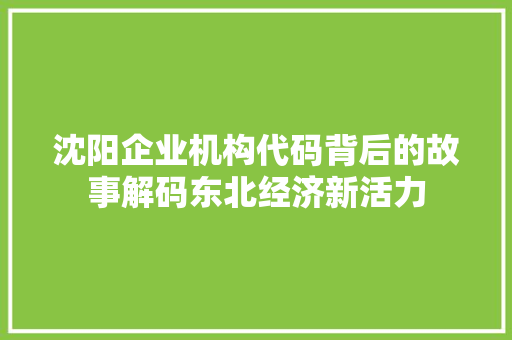 沈阳企业机构代码背后的故事解码东北经济新活力  第1张