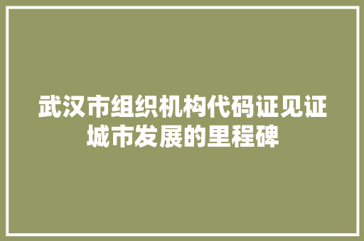 武汉市组织机构代码证见证城市发展的里程碑