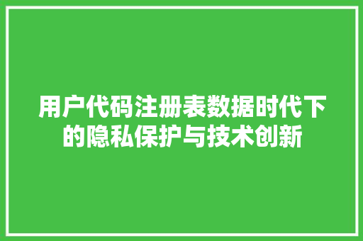 用户代码注册表数据时代下的隐私保护与技术创新