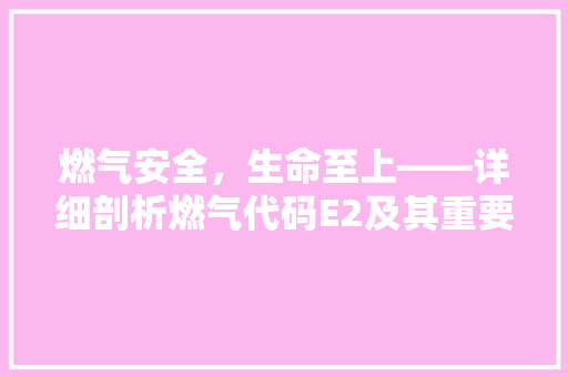 燃气安全，生命至上——详细剖析燃气代码E2及其重要