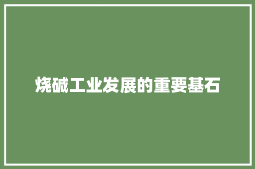 烧碱工业发展的重要基石