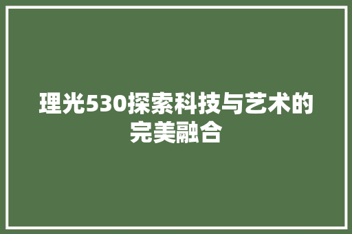 理光530探索科技与艺术的完美融合