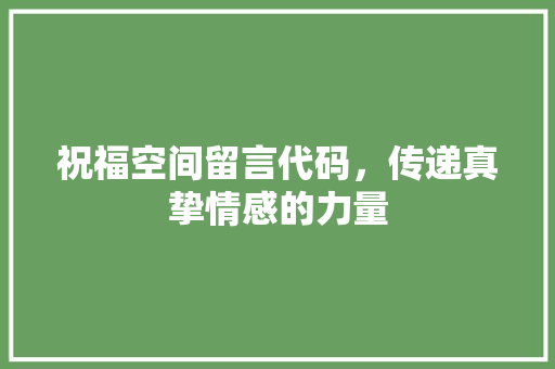 祝福空间留言代码，传递真挚情感的力量