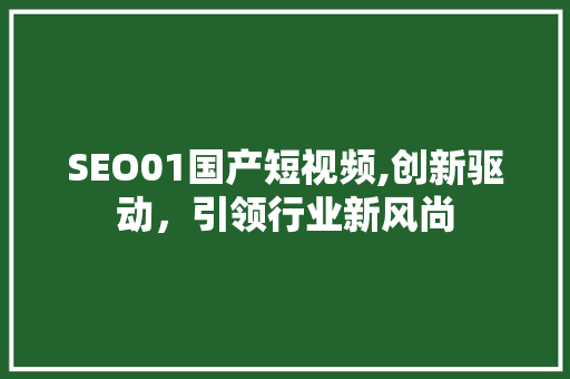 SEO01国产短视频,创新驱动，引领行业新风尚