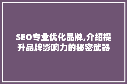 SEO专业优化品牌,介绍提升品牌影响力的秘密武器