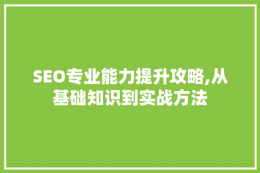 SEO专业能力提升攻略,从基础知识到实战方法  第1张