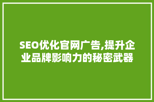 SEO优化官网广告,提升企业品牌影响力的秘密武器  第1张