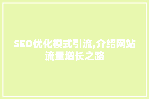 SEO优化模式引流,介绍网站流量增长之路