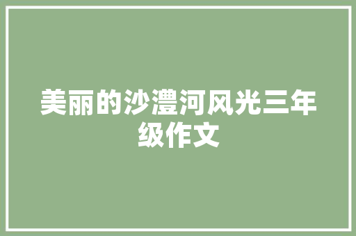SEO优化策划,打造搜索引擎优化的高效步骤