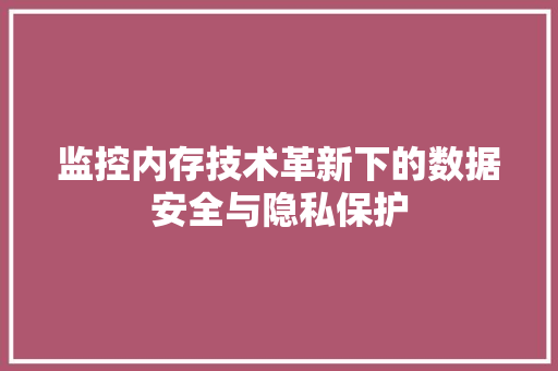 监控内存技术革新下的数据安全与隐私保护