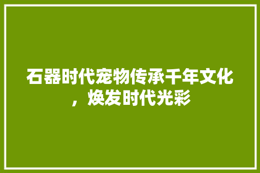 石器时代宠物传承千年文化，焕发时代光彩