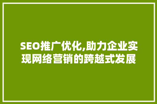 SEO推广优化,助力企业实现网络营销的跨越式发展