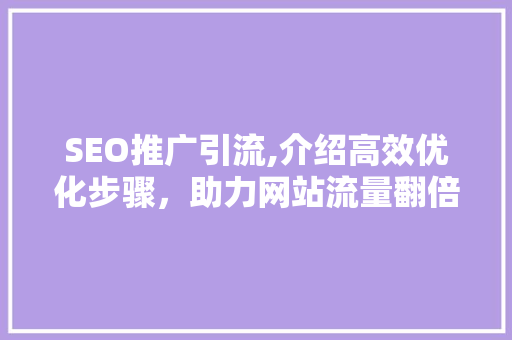 SEO推广引流,介绍高效优化步骤，助力网站流量翻倍增长